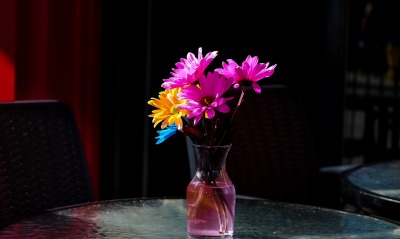 цветы ромашки ваза стол