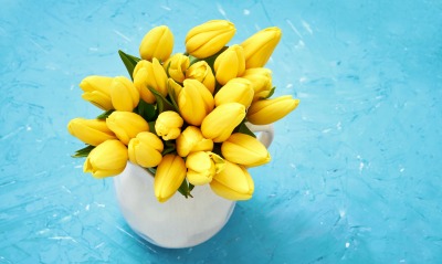 тюльпаны графин желтые цветы букет голубой фон