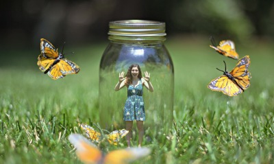 девушки банка природа животные бабочка трава