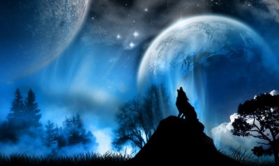 Воющий в ночи волк