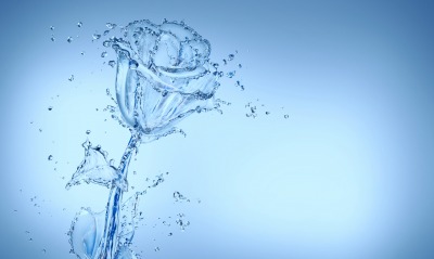 Роза из воды