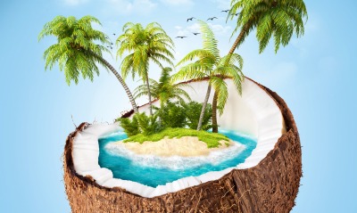 Остров в кокосе