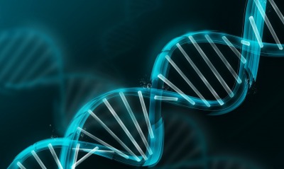 графика ДНК