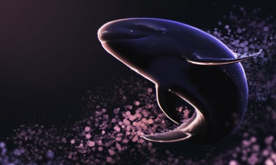 кит, рисунок