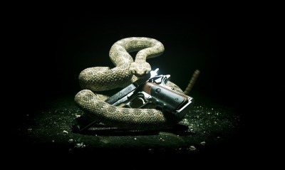 Змея с пистолетом