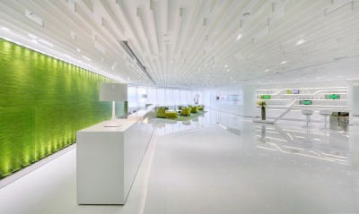 Белый офис зелень