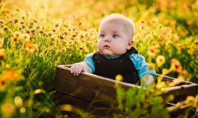 Малыш в поле в коробке