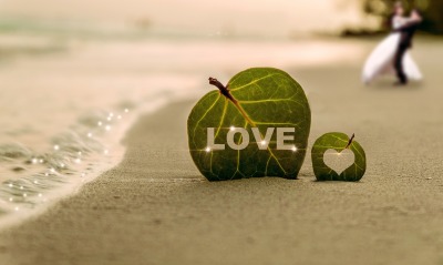 любовь лист блеск берег песок