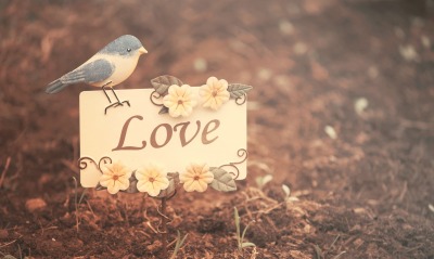 любовь птица надпись открытка