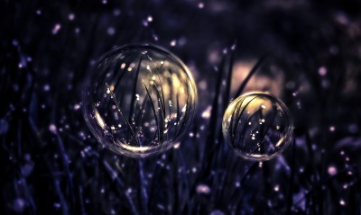 капли трава пузыри