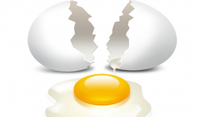 яйцо желток скорлупа egg the yolk shell