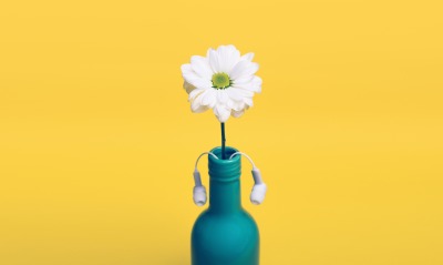 цветок, бутылка