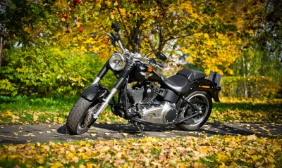 мотоцикл осень дорожка
