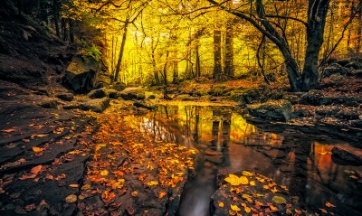 речка осень лес