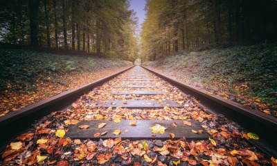 железная дорога, осенние листья