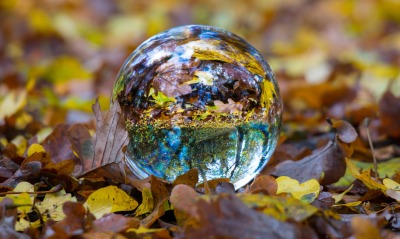 шар стеклянный осень листья листва отражение
