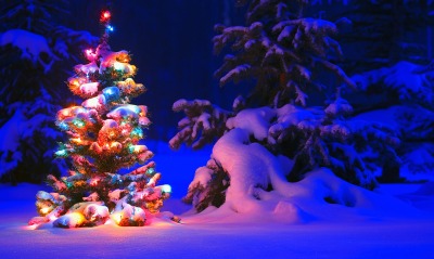 елка фонарики снег ночь