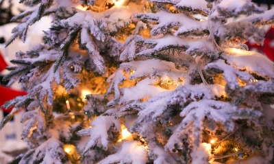новый год елка снег ветви огоньки