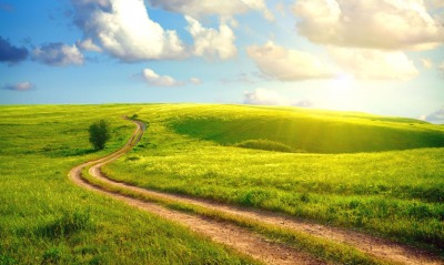 Дорога вдоль зеленых полей