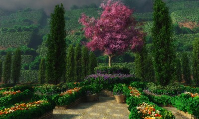 Сад с розовым деревом