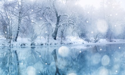 Снег вода зима деревья