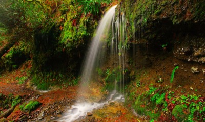 лесной водопад