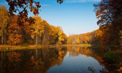 Озеро осень лес