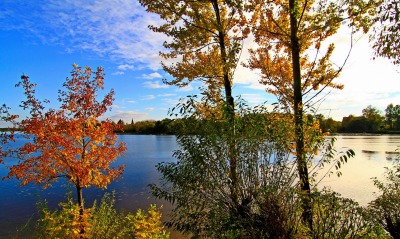 природа озеро деревья небо оссень