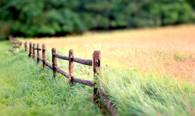 забор трава
