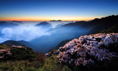 С высоты горы облака цветы