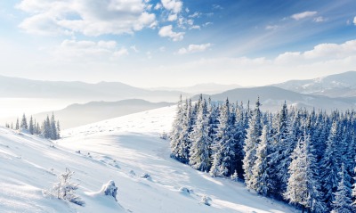 природа зима деревья ели небо облака снег