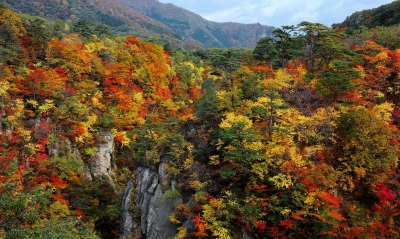 Осень краски осени водопад