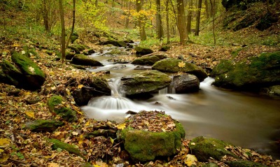 природа река листья осень лес деревья