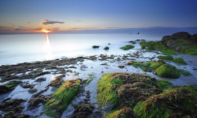 природа море побережье камни мох солнце небо Mac