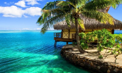 природа море курорт пальма дом