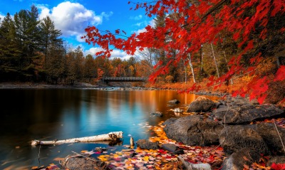Осень вода отражение лес речка