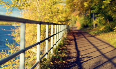 Забор дорожка осень