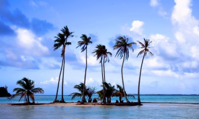 Пальмы остров океан