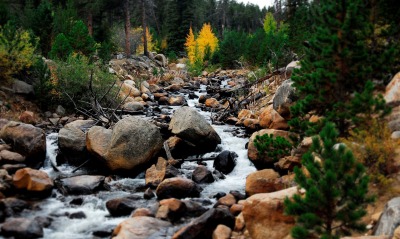 природа камни река деревья