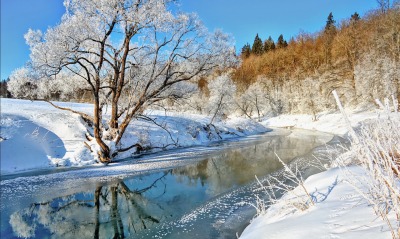 природа река отражение зима снег деревья лес