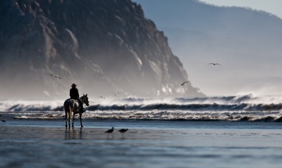 природа берег море гора скала лошадь наездник
