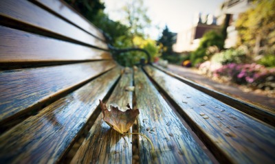 скамейка лист осень дождь