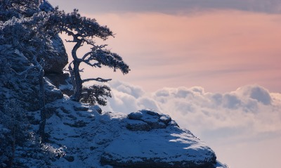 природа гора дерево облака снег
