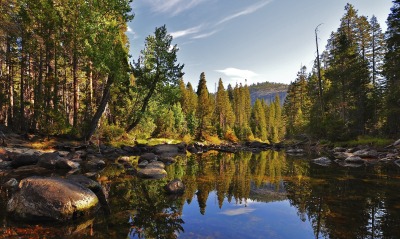 природа озеро деревья отражение