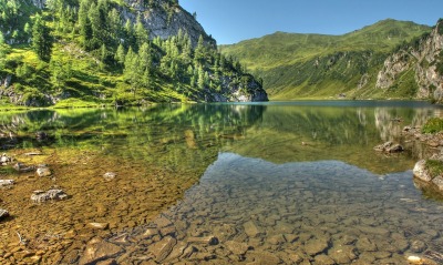 зелень лето озеро