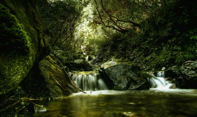 природа море водопад река деревья