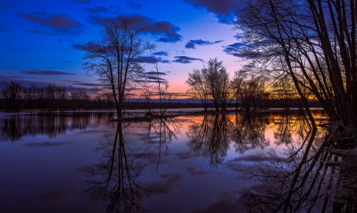 природа деревья озеро отражение