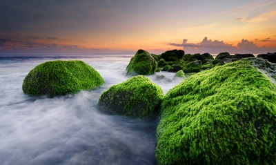 природа море индонезия