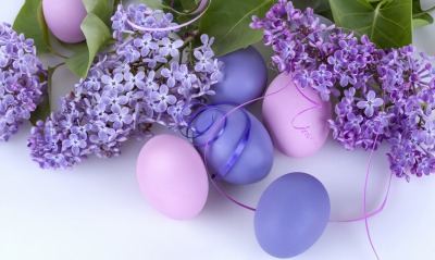 природа цветы яйца пасха праздники