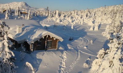 природа снег зима деревья дом